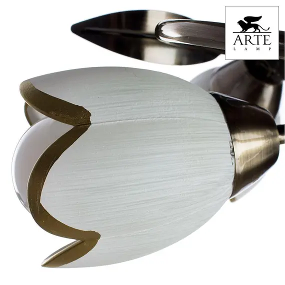 Потолочная люстра Arte Lamp 4 A6061PL-4AB, изображение 3