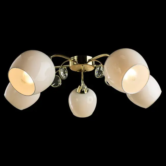 Потолочная люстра Arte Lamp Millo A9549PL-5GO, изображение 4