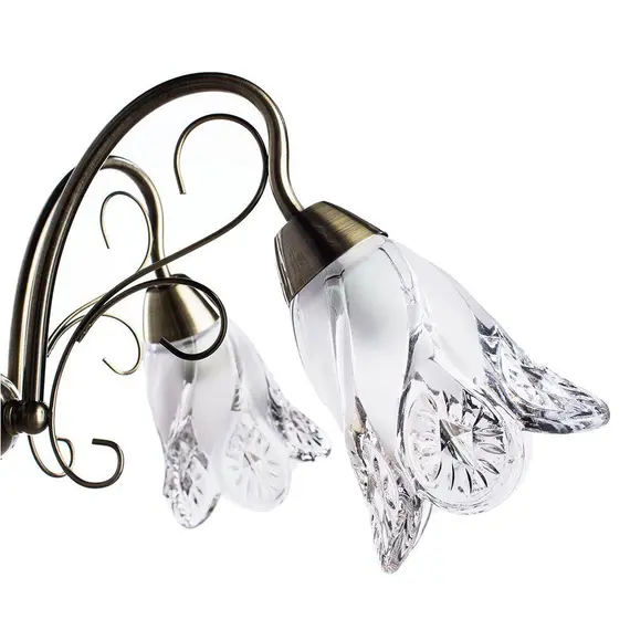 Подвесная люстра Arte Lamp 2 A6273LM-5AB, изображение 2