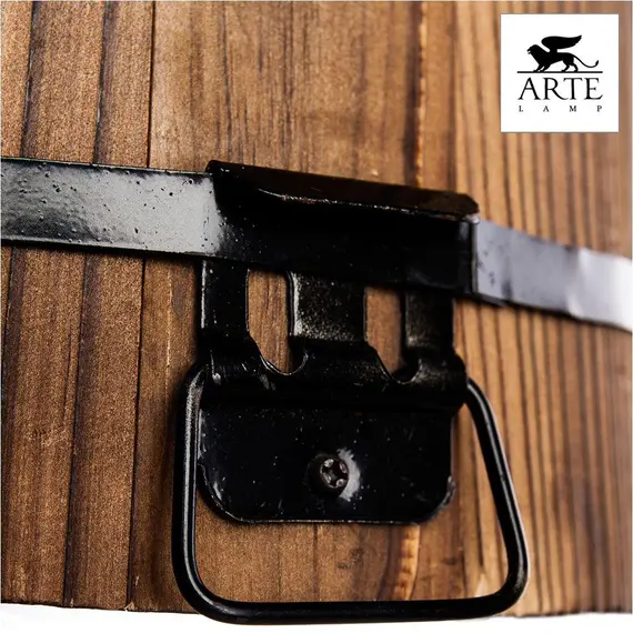 Подвесной светильник Arte Lamp 24 A4144SP-1BR, изображение 2