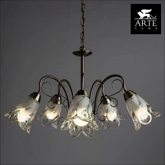 Подвесная люстра Arte Lamp 2 A6273LM-5AB, изображение 3