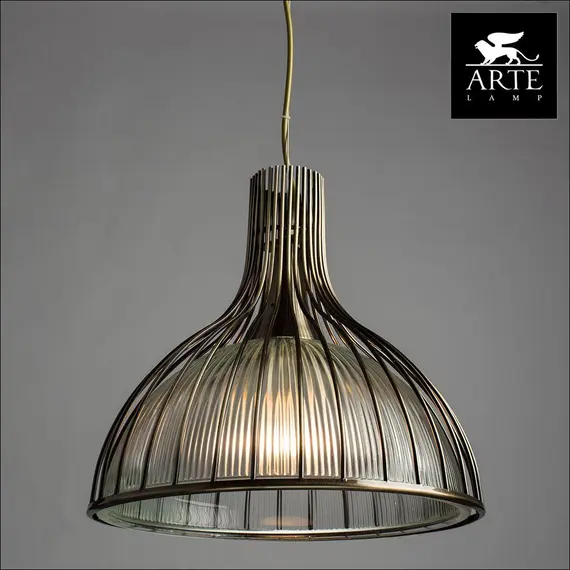 Подвесной светильник Arte Lamp Montana A9360SP-1AB, изображение 3