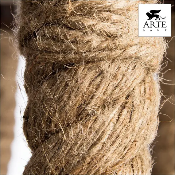 Подвесная люстра Arte Lamp Corda A8958LM-8BR, изображение 2