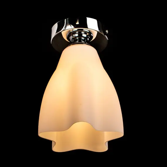 Потолочный светильник Arte Lamp 17 A3469PL-1CC, изображение 3