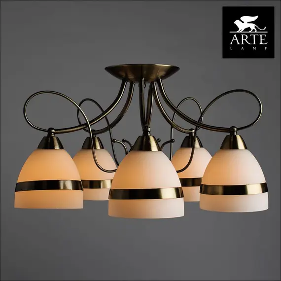 Потолочная люстра Arte Lamp 55 A6192PL-5AB, изображение 4