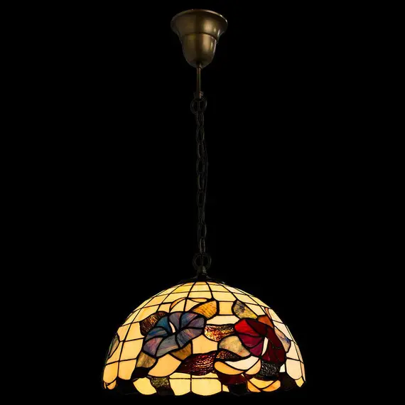 Подвесной светильник Arte Lamp Florizel A3165SP-1BG, изображение 3