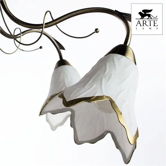 Потолочная люстра Arte Lamp Barbara A6066PL-5AB, изображение 2