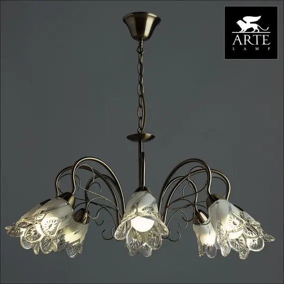 Подвесная люстра Arte Lamp 2 A6273LM-8AB, изображение 3