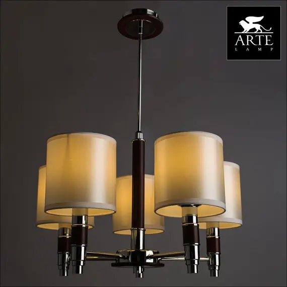 Подвесная люстра Arte Lamp Circolo A9519LM-5BR, изображение 3
