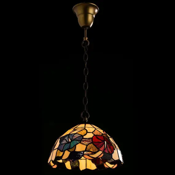 Подвесной светильник Arte Lamp Florizel A3166SP-1BG, изображение 3