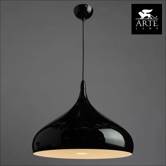 Подвесной светильник Arte Lamp Cappello A3266SP-1BK, изображение 2
