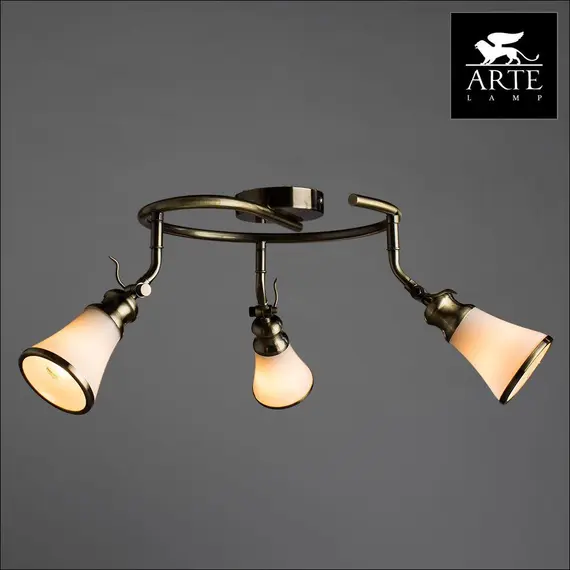 Спот Arte Lamp 81 A9231PL-3AB, изображение 3