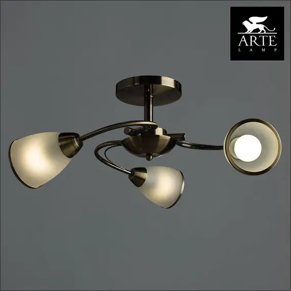 Потолочная люстра Arte Lamp 3 A6056PL-3AB, изображение 3