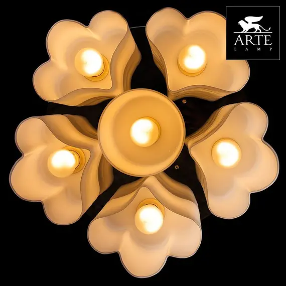 Потолочная люстра Arte Lamp 17 A3489PL-6CC, изображение 3