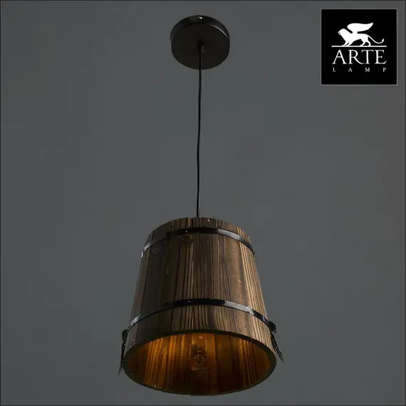 Подвесной светильник Arte Lamp 24 A4144SP-1BR, изображение 3