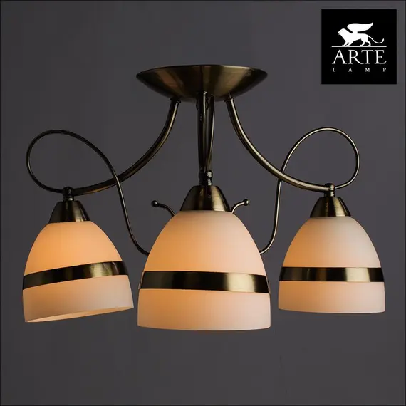 Потолочная люстра Arte Lamp 55 A6192PL-3AB, изображение 4