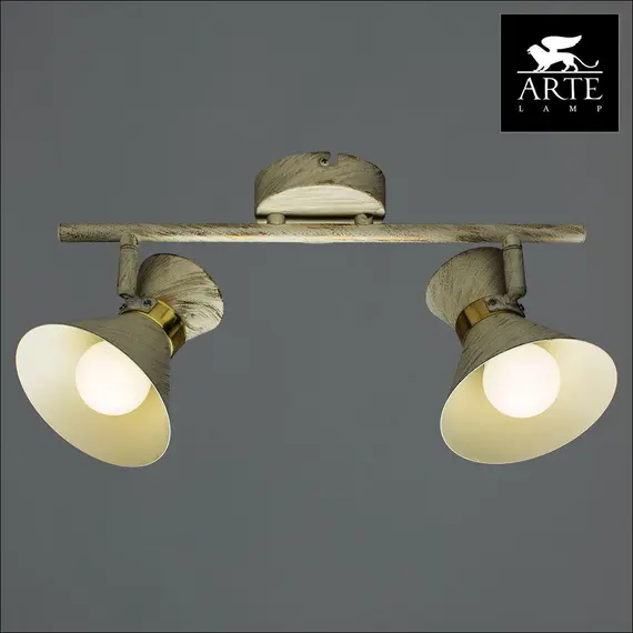 Спот Arte Lamp Baltimore A1406AP-2WG, изображение 4