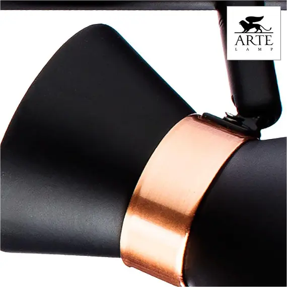 Спот Arte Lamp Baltimore A1406PL-3BK, изображение 2