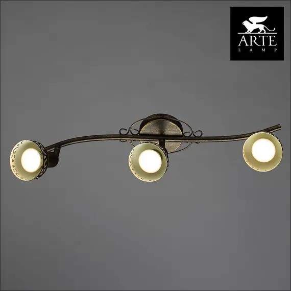 Спот Arte Lamp Focus A5219PL-3BR, изображение 2