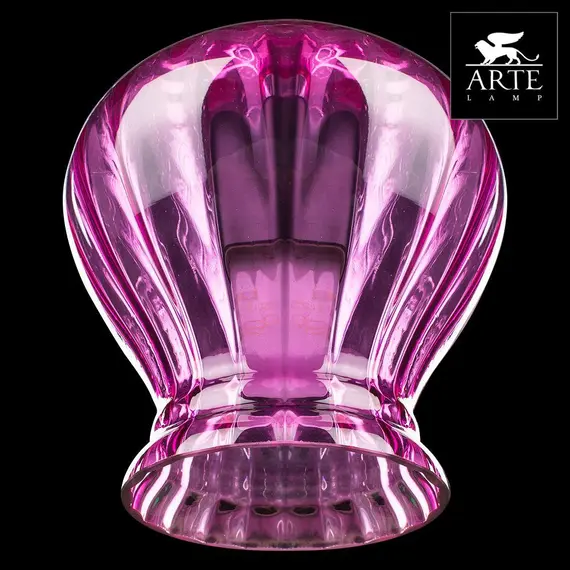 Подвесной светильник Arte Lamp 25 A8127SP-1MG, изображение 2