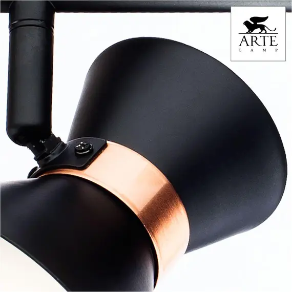 Спот Arte Lamp Baltimore A1406AP-2BK, изображение 2