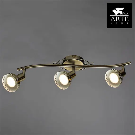 Спот Arte Lamp Focus A5219PL-3AB, изображение 3