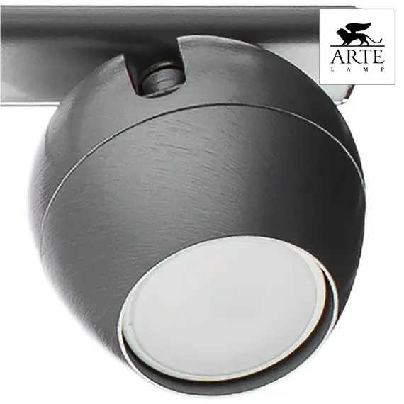Спот Arte Lamp Sfera A5781PL-4SS, изображение 2