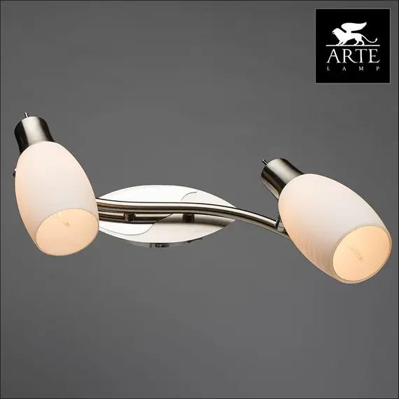 Спот Arte Lamp A4590AP-2SS, изображение 3