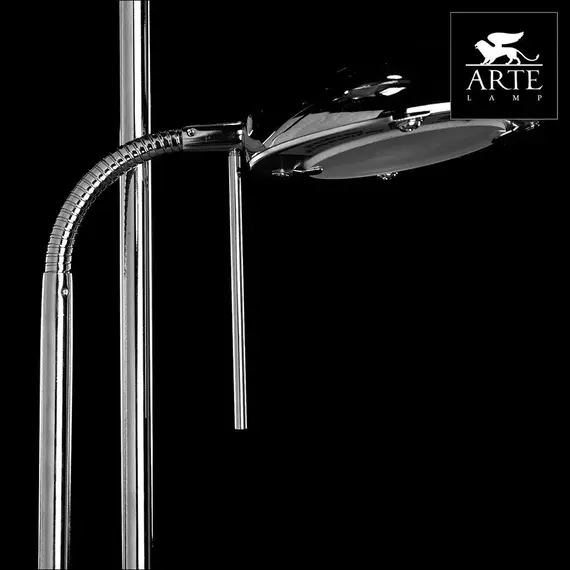 Торшер Arte Lamp Duetto A4329PN-2CC, изображение 2