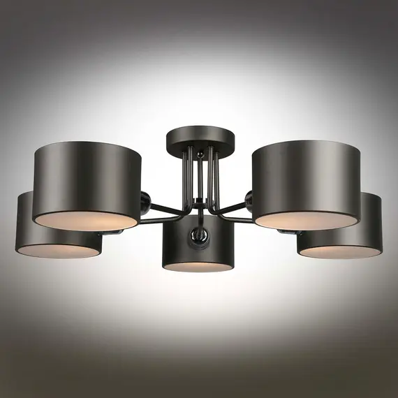 Потолочная люстра Omnilux Lisera OML-54507-05, изображение 3