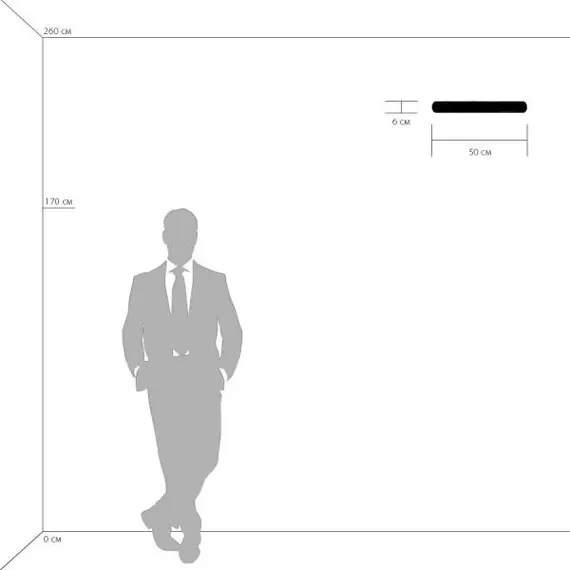 Настенный светильник Lightstar Blanda 801833, изображение 2