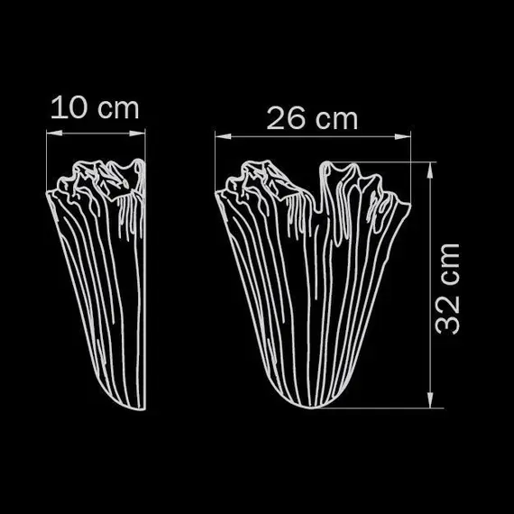 Настенный светильник Lightstar Murano 601610, изображение 2
