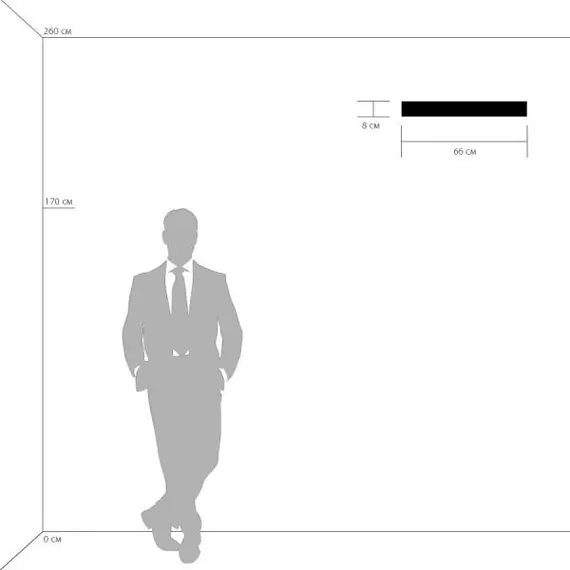 Настенный светодиодный светильник Lightstar Fiume 810526, изображение 2