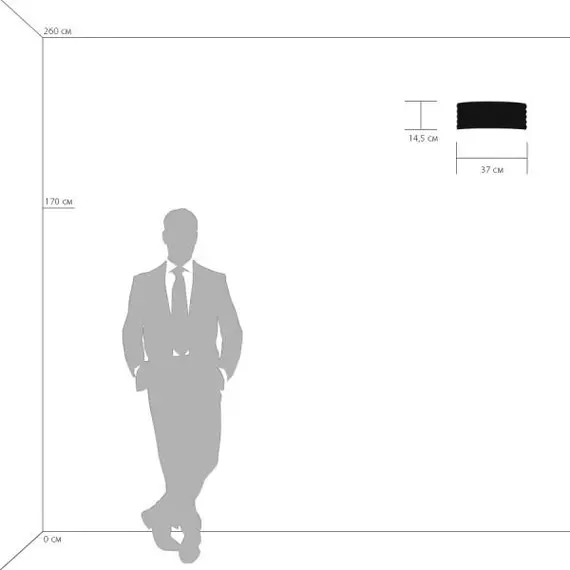 Настенный светильник Lightstar Amerigo 746618, изображение 3