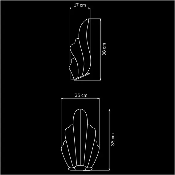 Настенный светильник Lightstar Riccio 705634, изображение 2