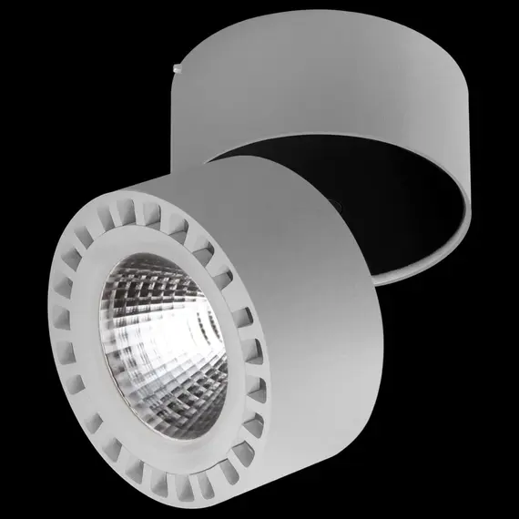 Потолочный светодиодный светильник Lightstar Forte 381393, изображение 3