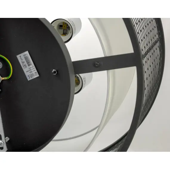 Потолочная люстра Lussole Loft LSP-9676, изображение 4