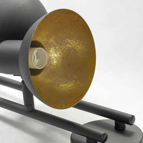 Спот Lussole Loft LSP-9976, изображение 4