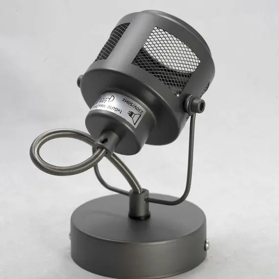 Спот Lussole Loft Haines LSP-8045, изображение 2