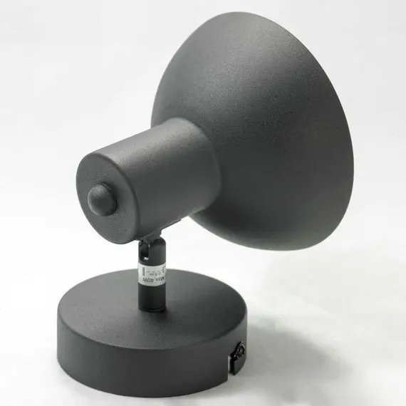 Спот Lussole Loft LSP-9973, изображение 3