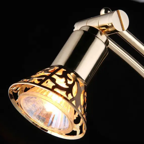 Подсветка для картин Maytoni Matiss PIC121-01-G, изображение 3