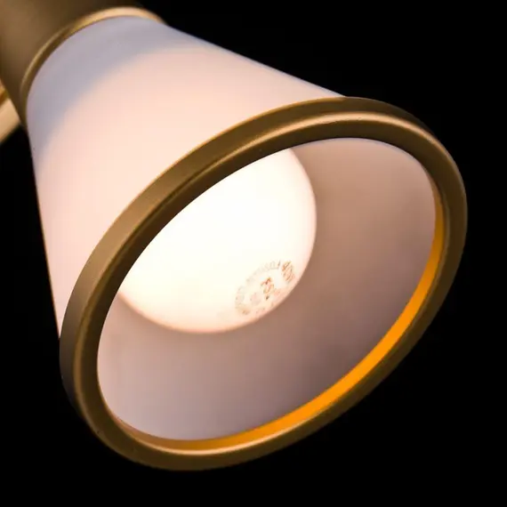 Спот Maytoni Luther SP008-CW-01-G, изображение 2