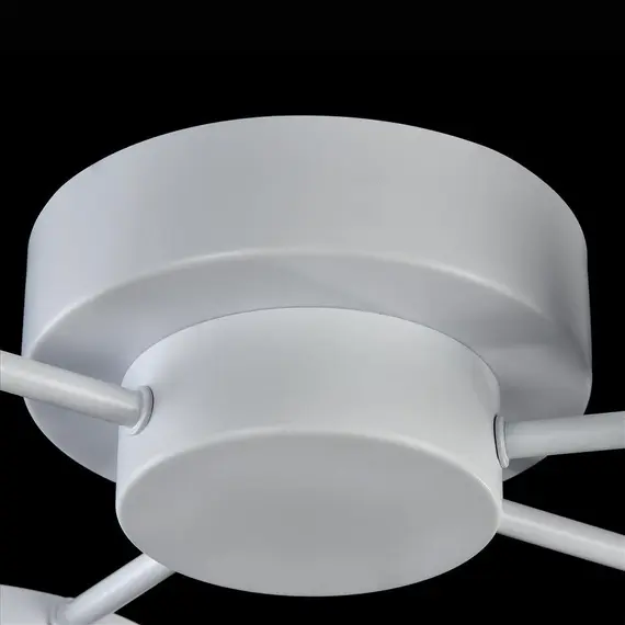 Потолочная светодиодная люстра Maytoni Aprilia MOD809-CL-04-48-W, изображение 2