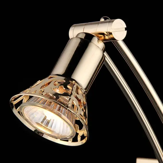 Подсветка для картин Maytoni Rublev PIC120-01-G, изображение 2