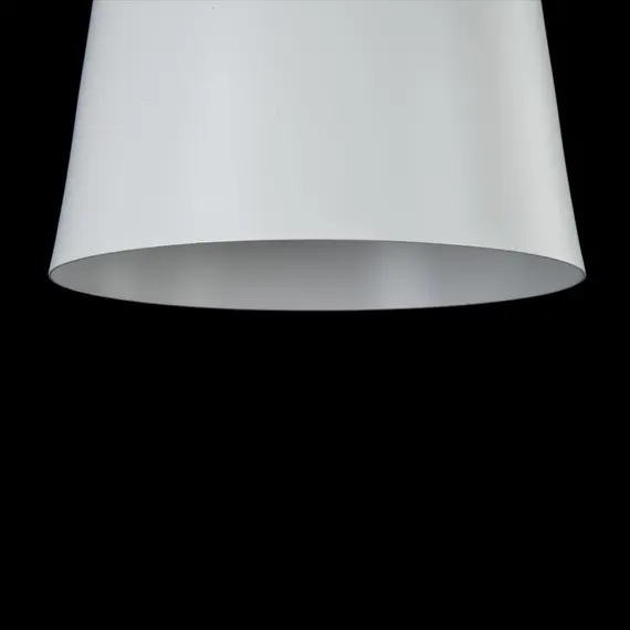 Подвесной светильник Maytoni Dayton T445-PL-01-W, изображение 2