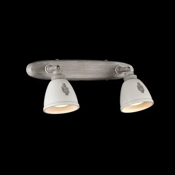 Спот Maytoni Agnes SP289-CW-02-BG, изображение 4