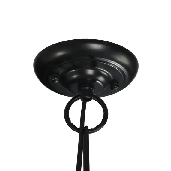 Подвесной светильник Maytoni Delphi T354-PL-01-B, изображение 2