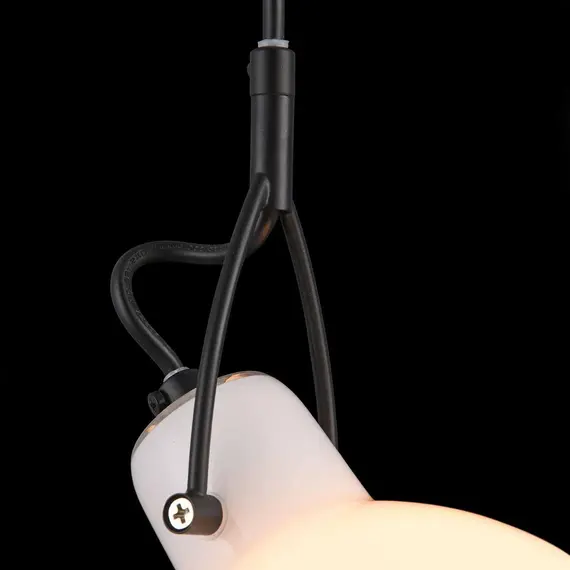 Подвесной светильник Maytoni Daniel MOD407-PL-01-B, изображение 2