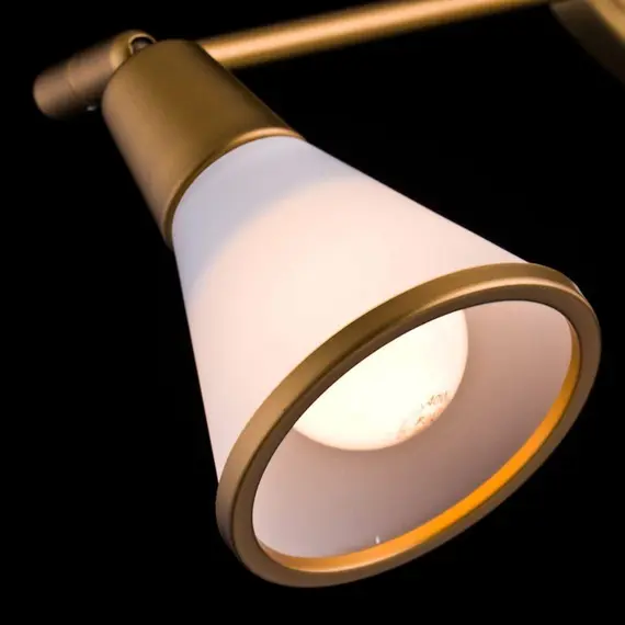 Спот Maytoni Luther SP008-CW-03-G, изображение 2