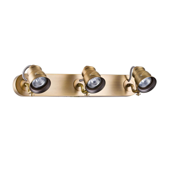 Спот Maytoni Borgo SP315-CW-03-BS